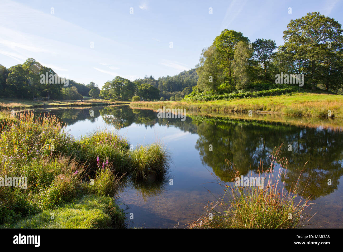 Río Brathay Elter, agua, Lake District, Sitio del Patrimonio Mundial de la UNESCO, Cumbria, Inglaterra, Reino Unido, Europa Foto de stock
