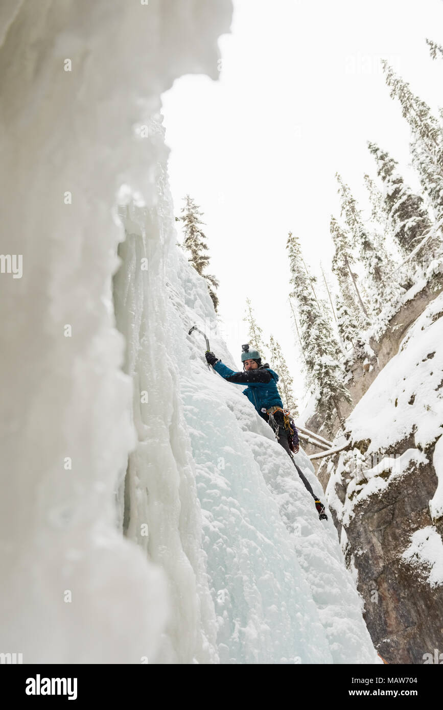 Macho de escalada Escalador ice mountain Foto de stock