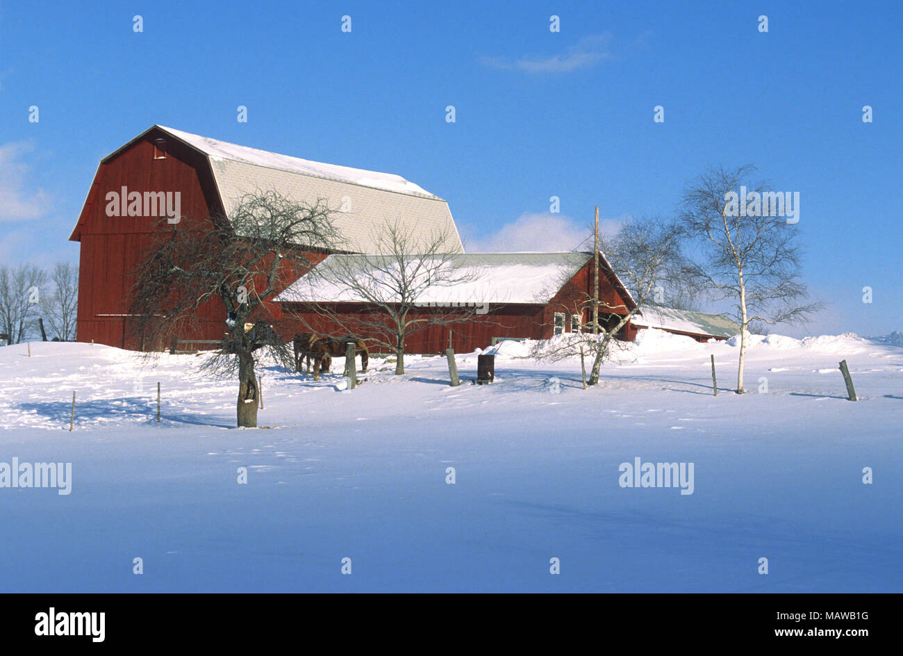 Un granero en invierno a lo largo de la ruta US 20 en Nueva York, EE.UU. Foto de stock