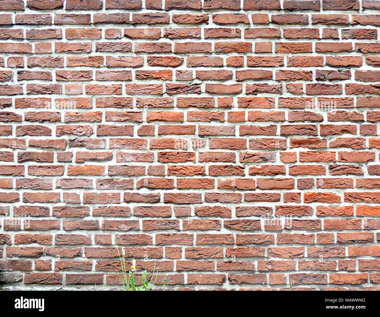 Muro de Piedra de ladrillo, con textura de fondo fondo de piedra. Disparo de fotograma completo de una pared de ladrillo rojo, como telón de fondo. Foto de stock