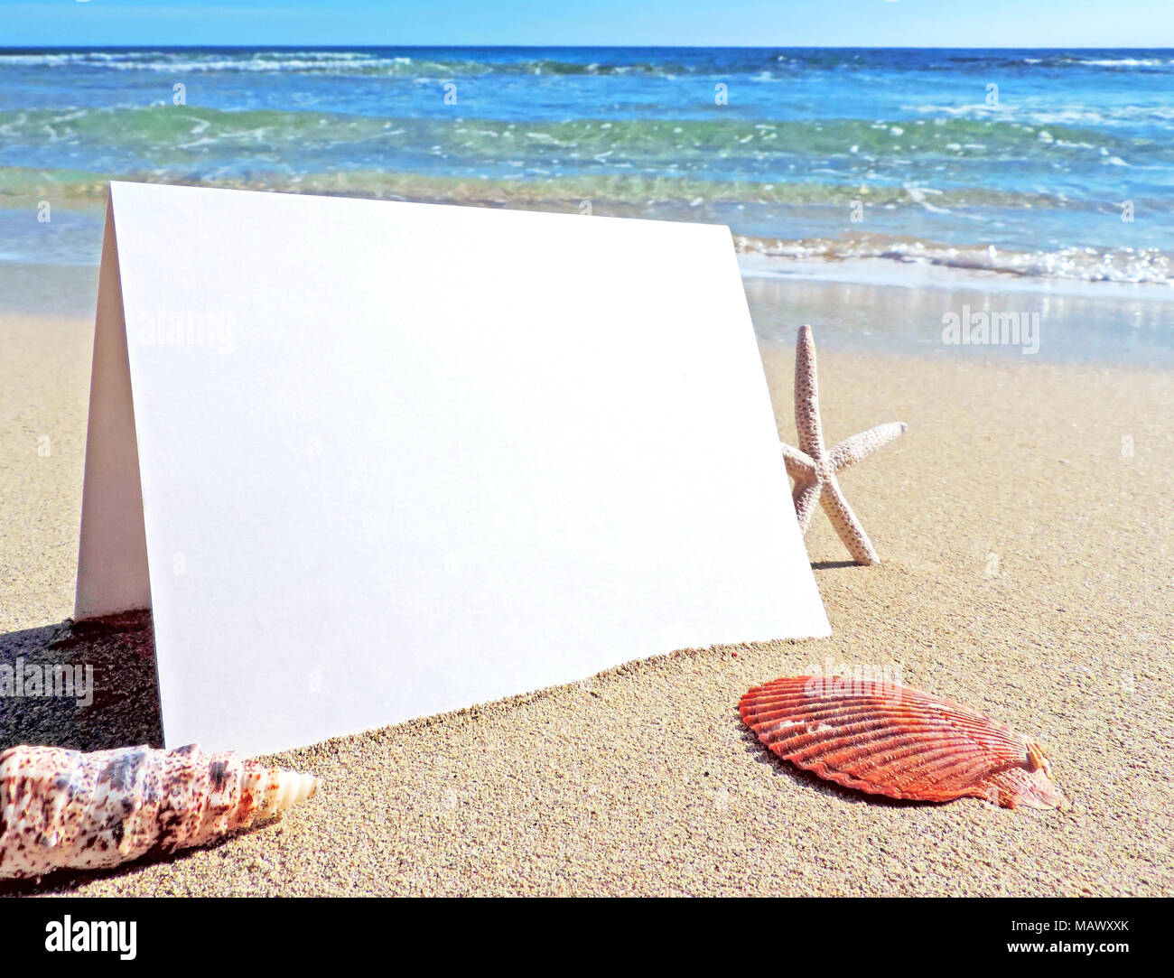 Tarjeta en blanco o tarjeta de felicitación en la playa con espacio de copia. Vacaciones de verano o vacaciones de playa escena con conchas y estrellas de mar. Saludos de vacaciones. Foto de stock