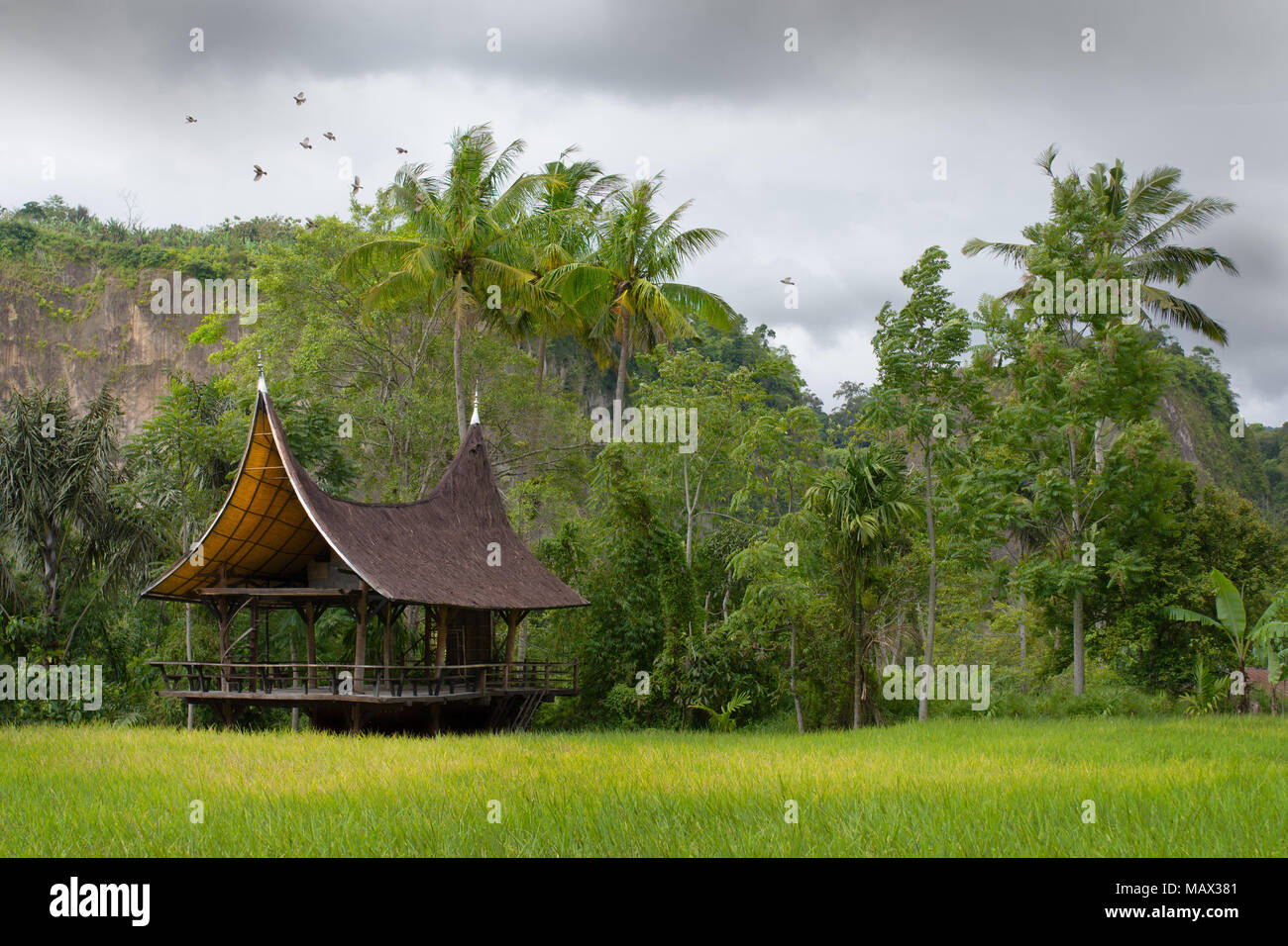Una arquitectura al estilo de Batak semiesférica abrió refugios lateral en el lado de un campo de arroz de Indonesia en el fondo de un valle en Bukittinggi, Sumatra. Foto de stock