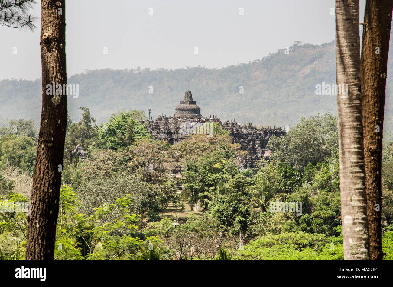 Templo Borobudur Foto de stock