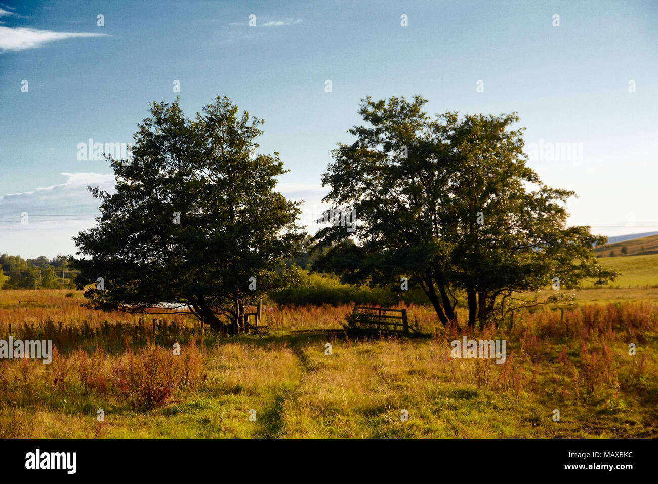 Templo de la colina Kenmuir Howwood Escocia Foto de stock