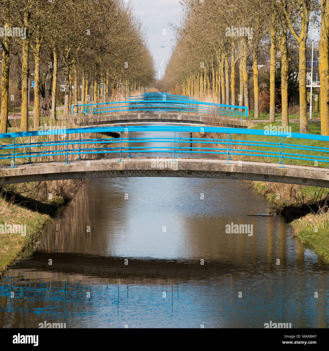 Alineado puentes sobre un canal holandés, con una turbina de viento en el fondo. Foto de stock