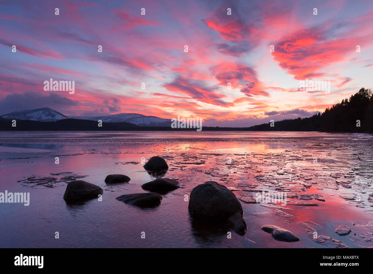 Loch Morlich al atardecer en invierno, el Parque Nacional de Cairngorms, Badenoch y Strathspey, Highland, Scotland, Reino Unido Foto de stock