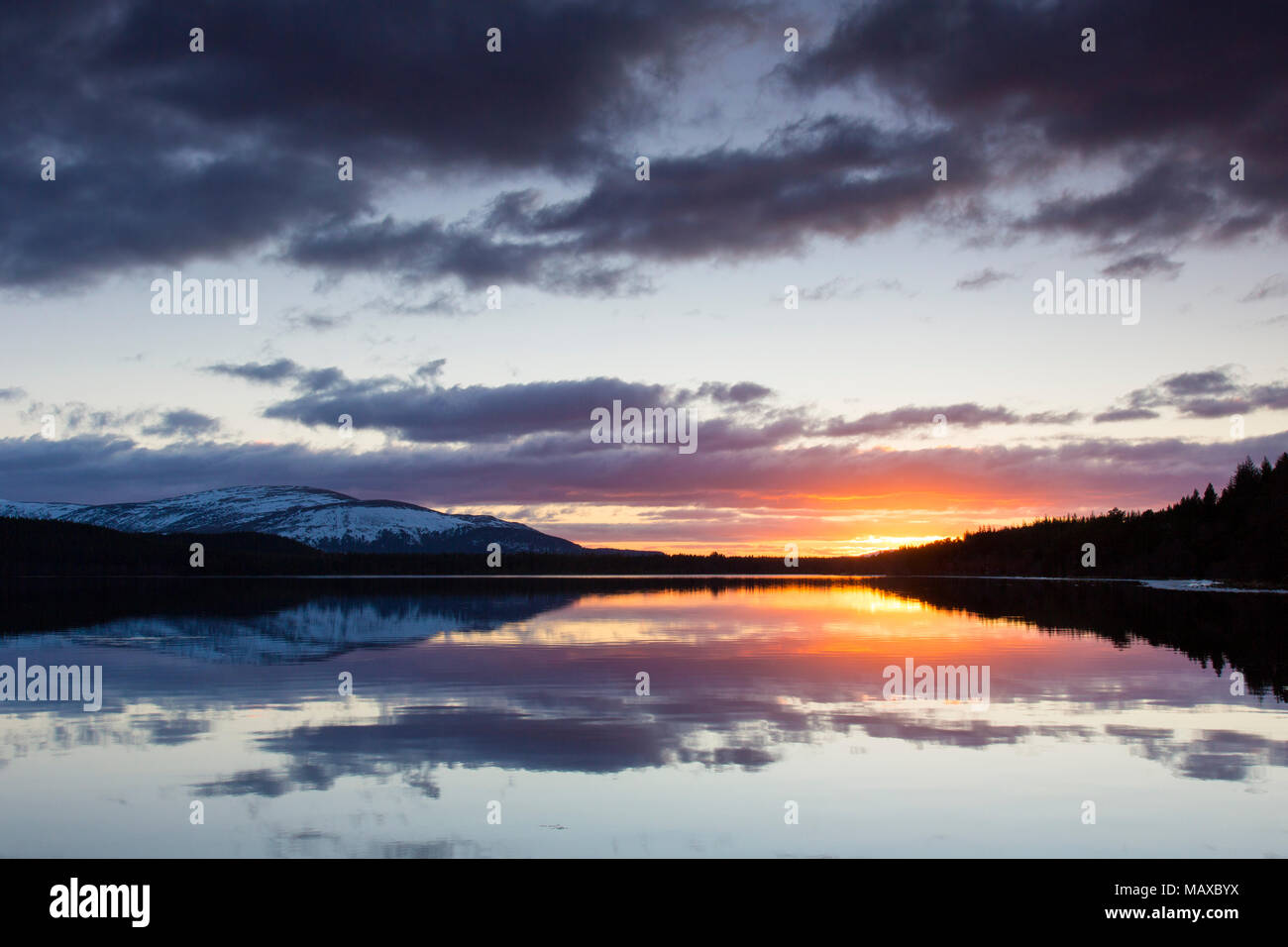 Loch Morlich al atardecer en invierno, el Parque Nacional de Cairngorms, Badenoch y Strathspey, Highland, Scotland, Reino Unido Foto de stock