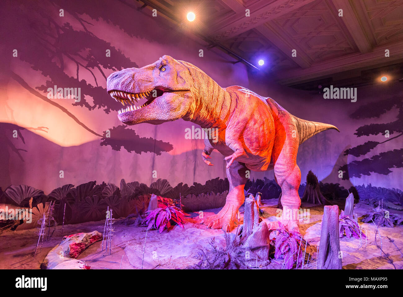 Modelo animatrónico de un tiranosaurio rex dinosaurio en el Museo de Historia Natural de Londres, Reino Unido Foto de stock