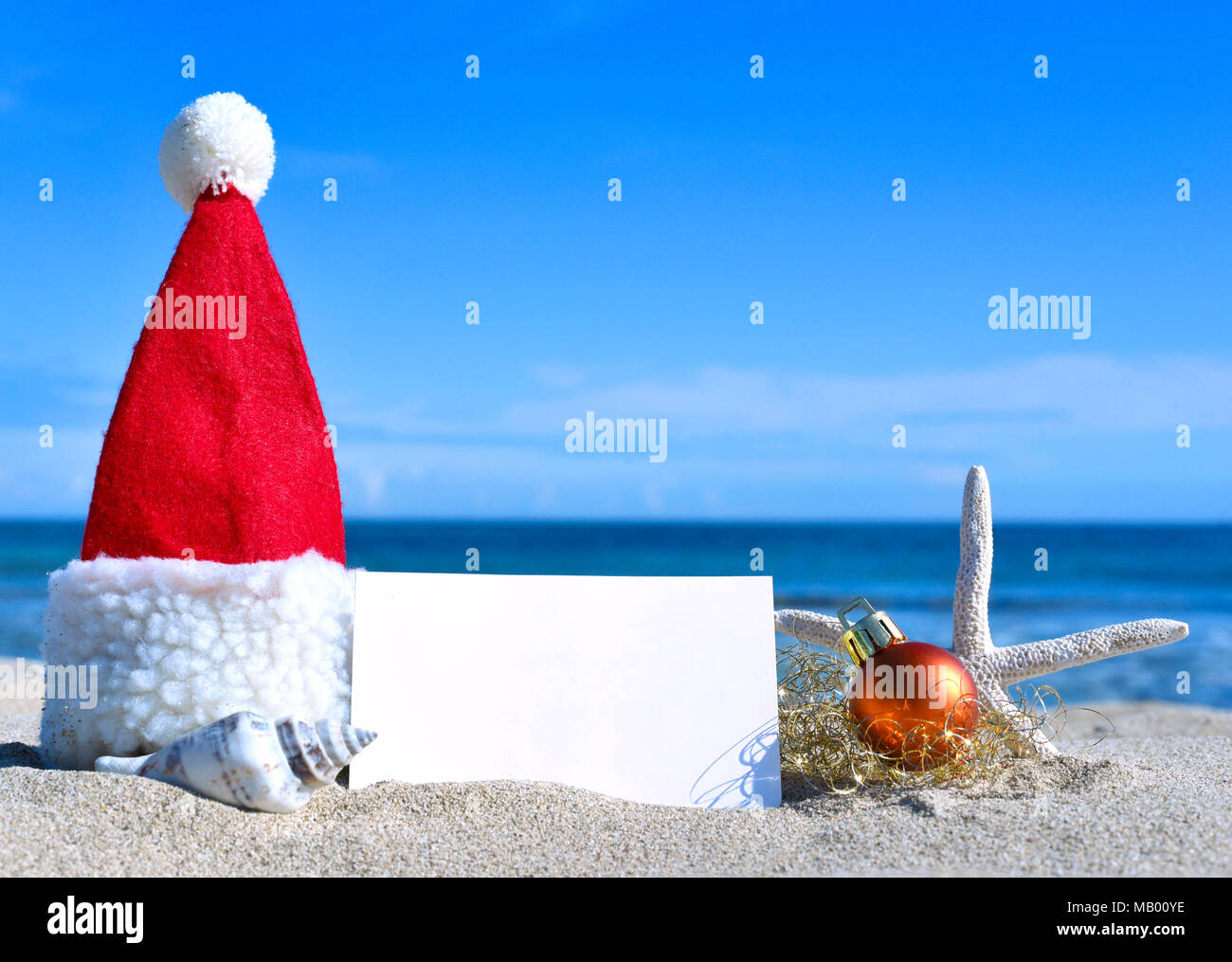 Download Decoraciones playa de santa For iPhone Free