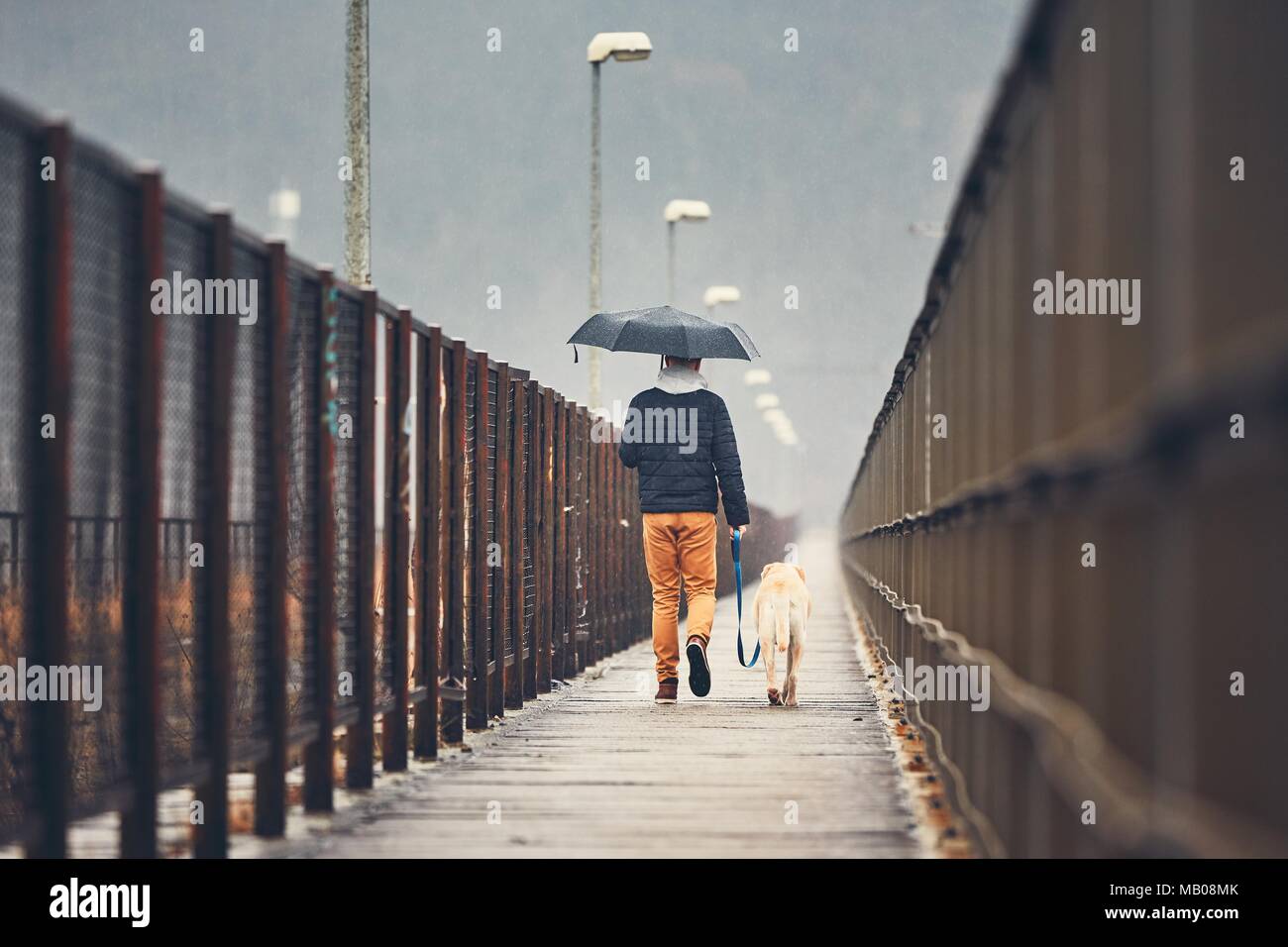 Clima sombrío de la ciudad. El hombre con su perro (labrador retriever) caminando en la lluvia sobre el puente. Praga, República Checa Foto de stock