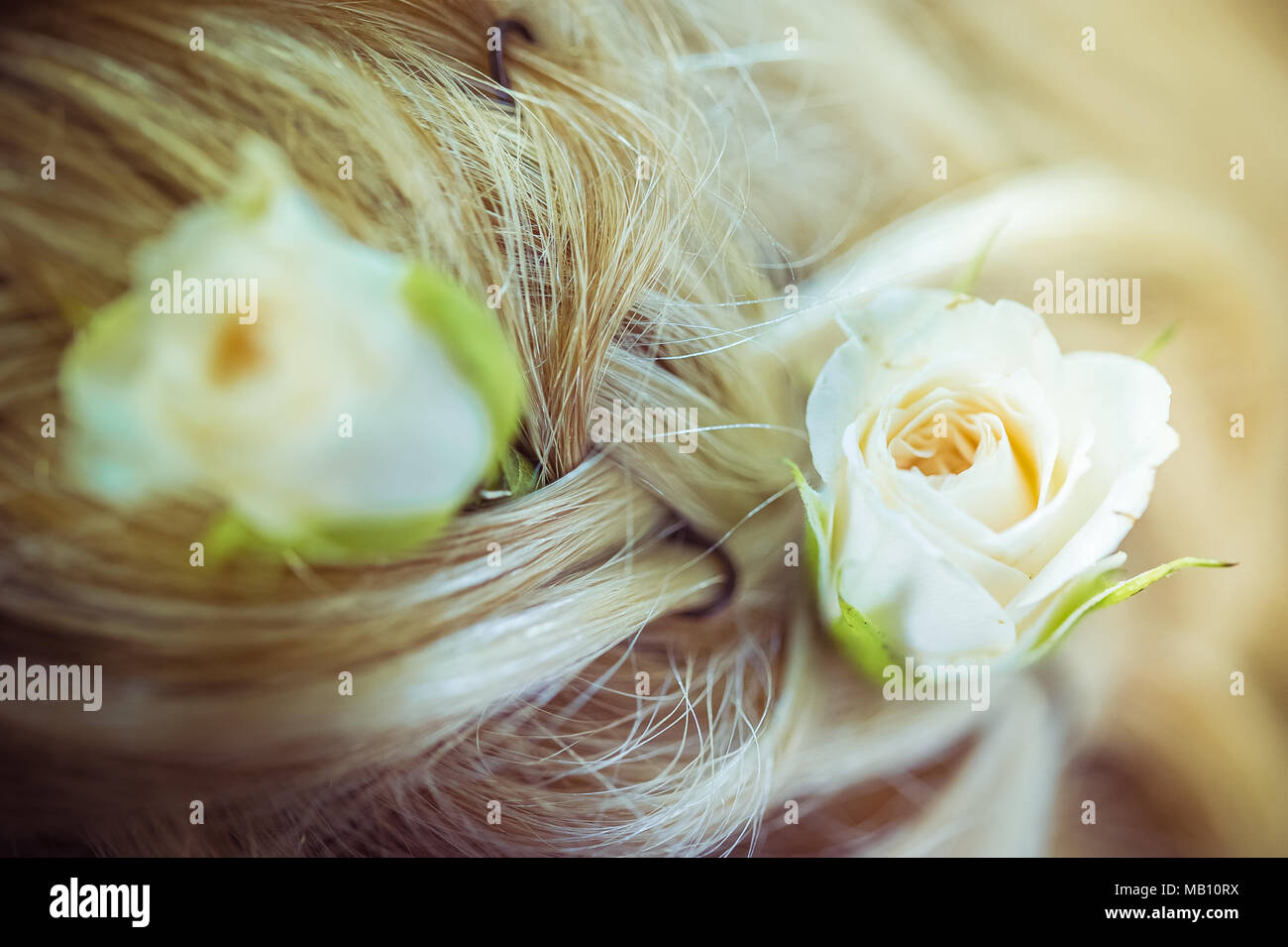 Flores En El Pelo Fotos E Imagenes De Stock Alamy