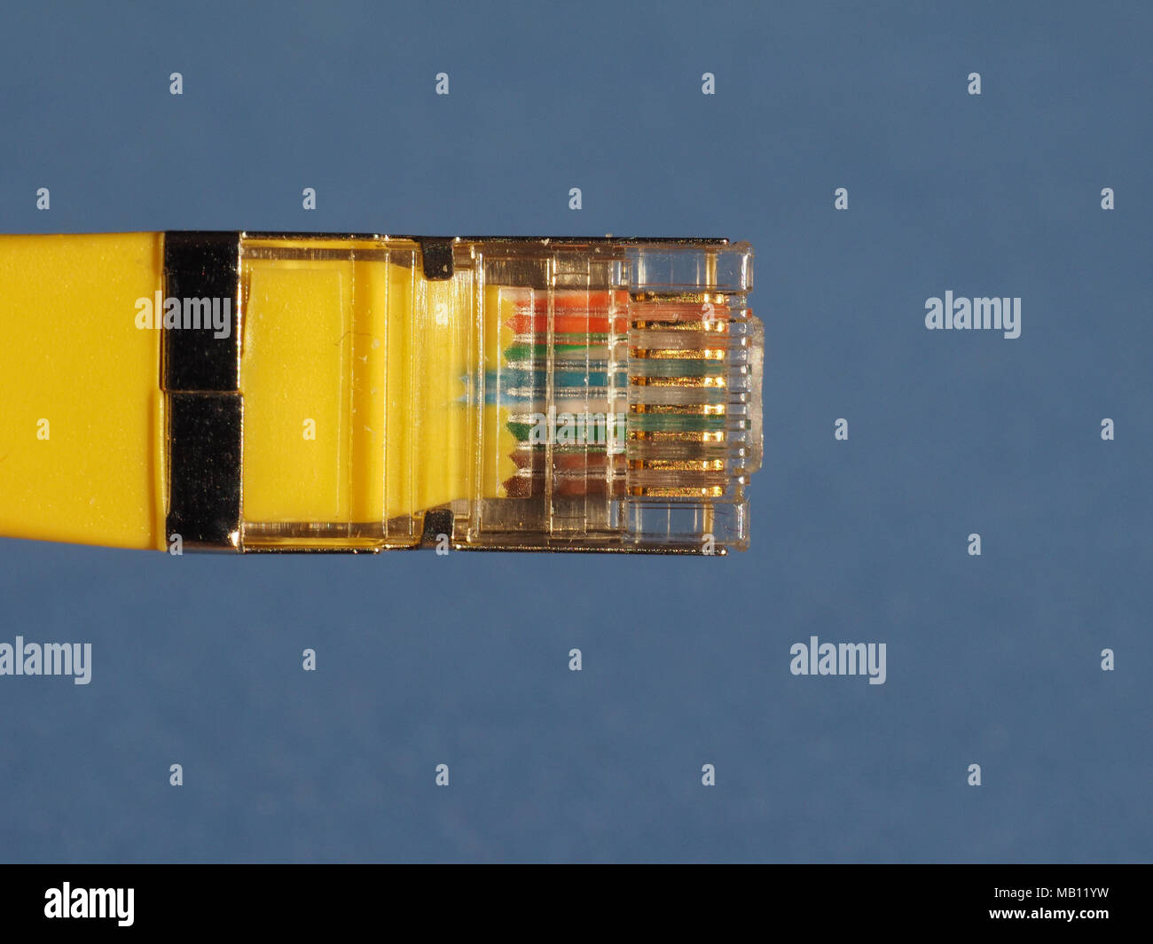 Conector RJ45 para red de área local LAN conexión Fotografía