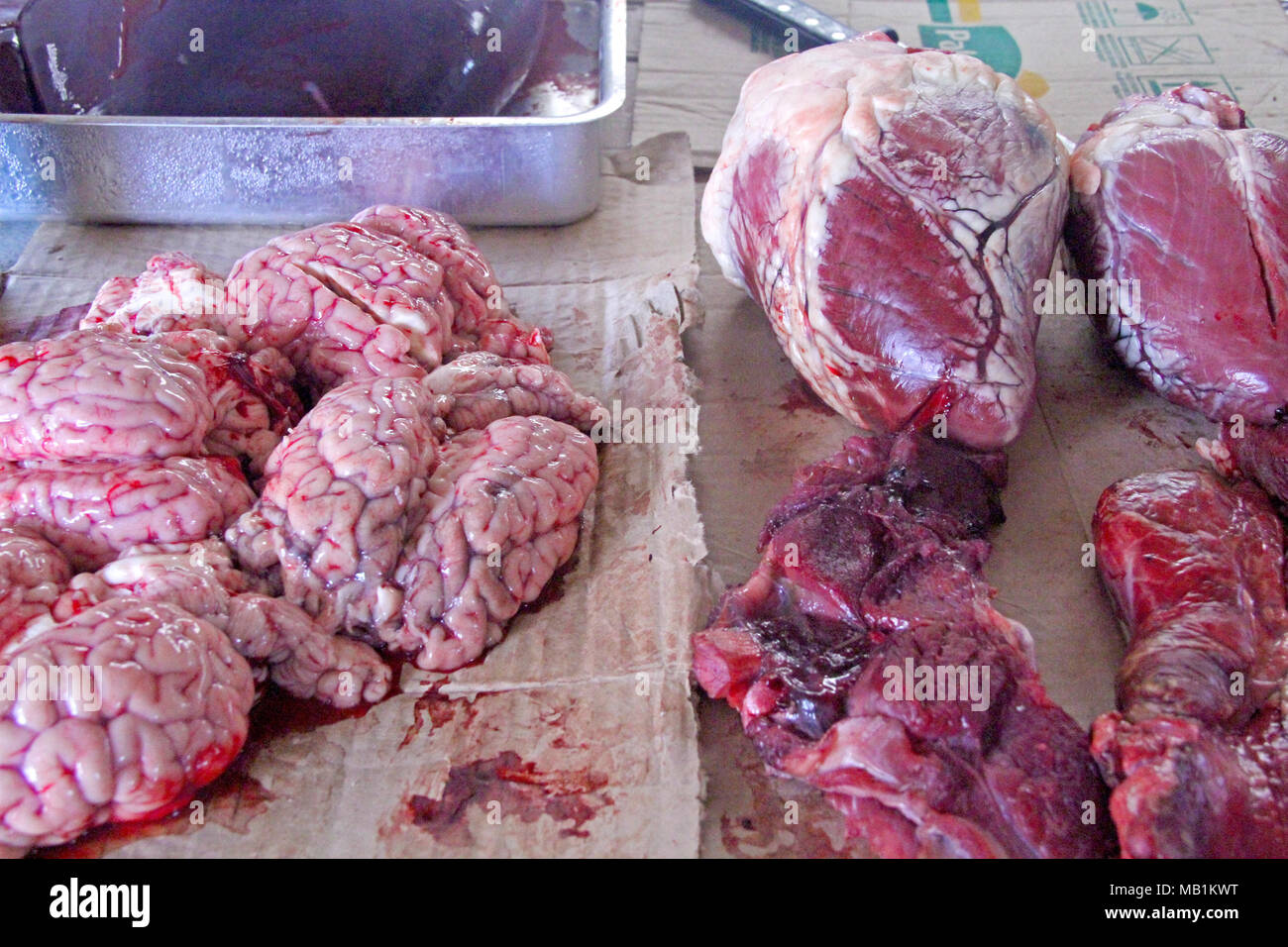 La carne, el mercado libre, Belem, Paraiba, Brasil Foto de stock