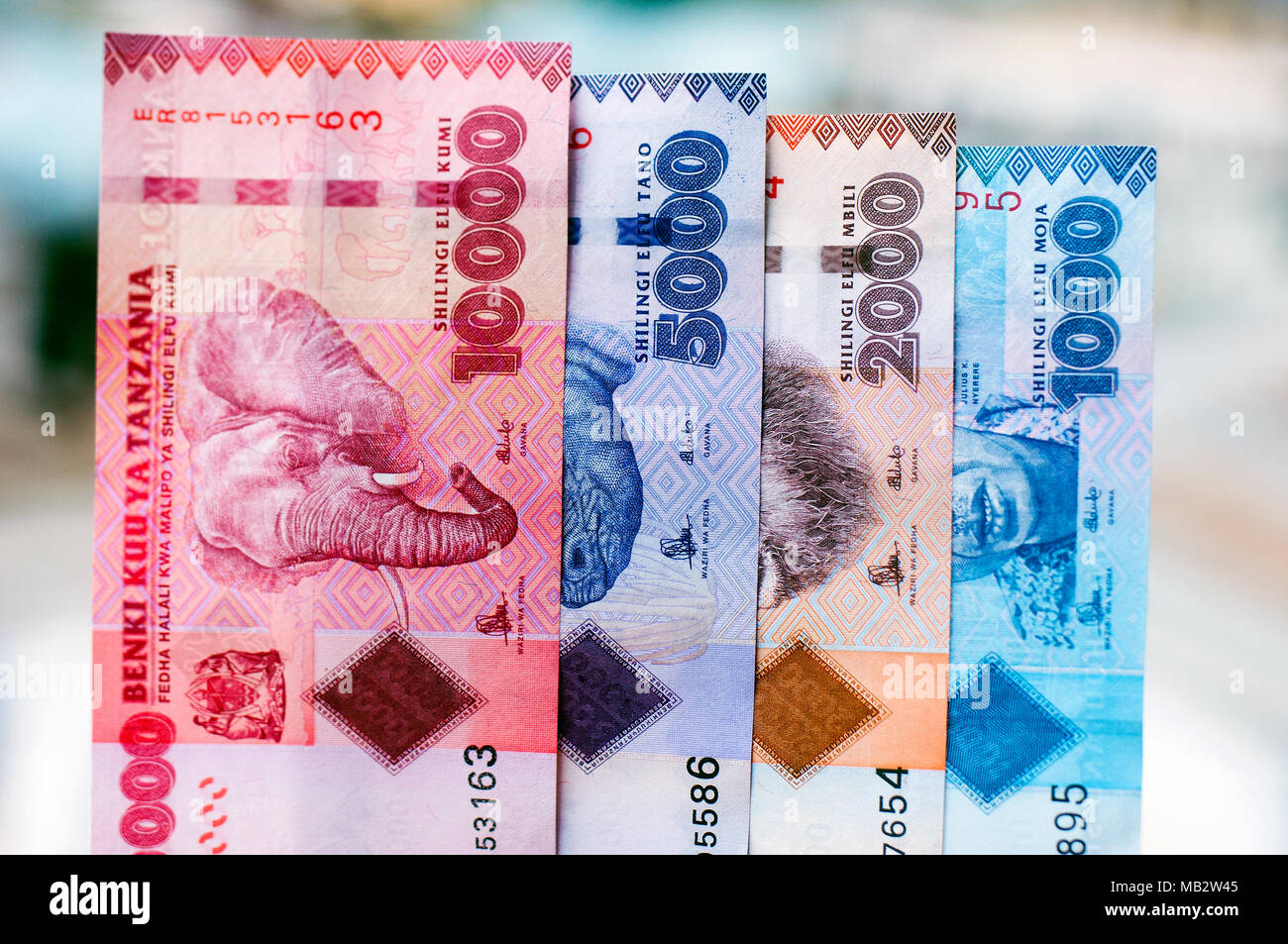 Los cuatro disponibles billetes de Tanzania en el denonmination de chelines tanzanos: 3.048, 5.000, 2.000 y 1.000, fotografiado en la localización de da Foto de stock