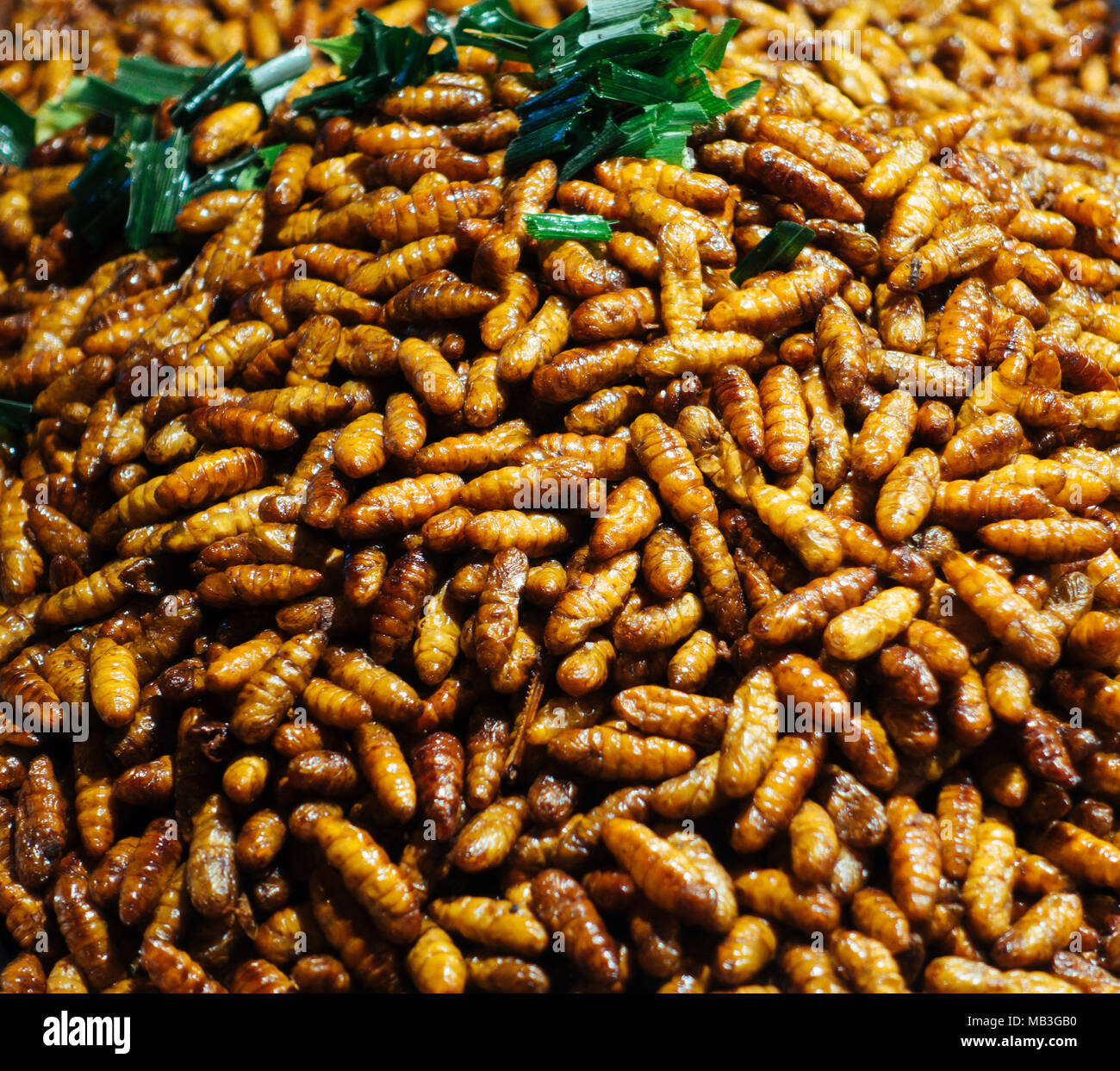 Freír en una cacerola bug insectos tentempié popular comida callejera en Tailandia Foto de stock