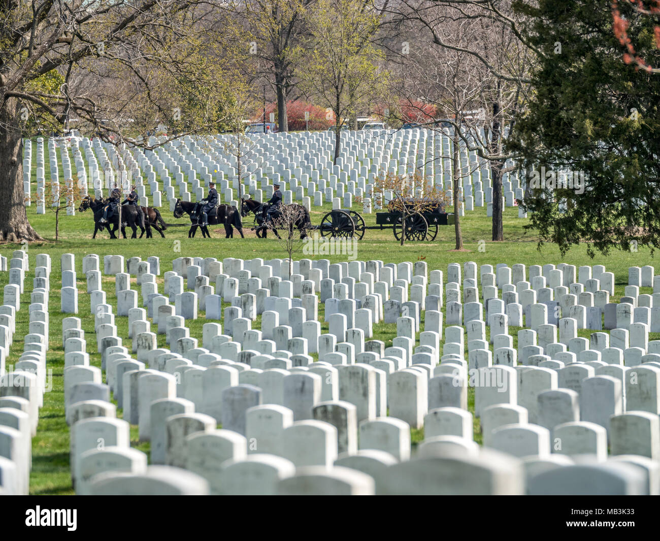 WASHINGTON DC, Estados Unidos - APR 5, 2018: Ejército pleno honor caballos entierro en el Cementerio Nacional de Arlington en Washington el 5 de abril de 2018 Foto de stock