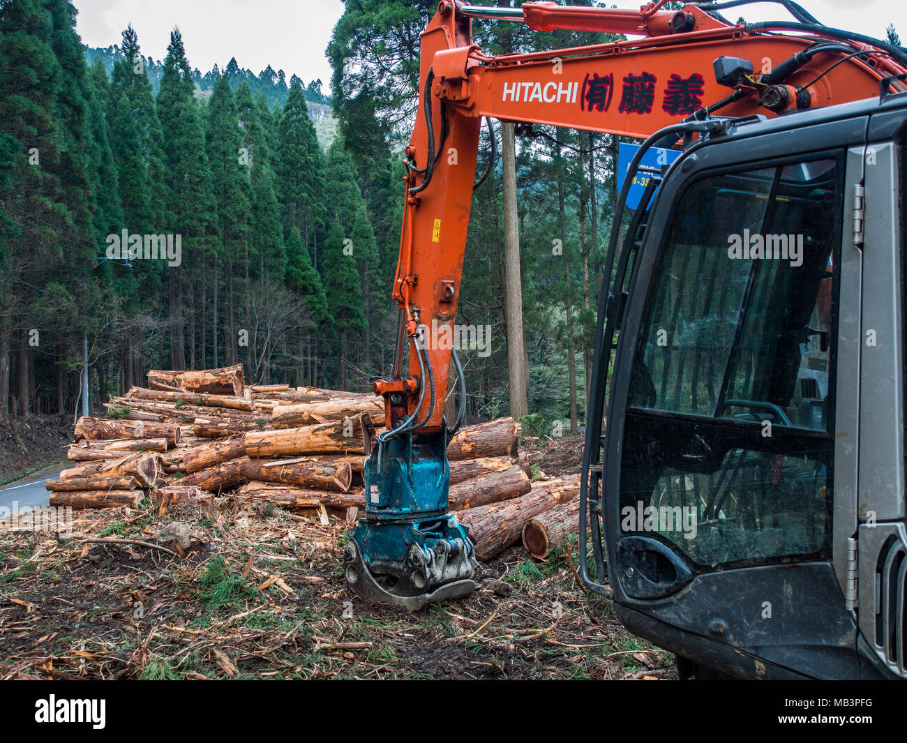 Apilamiento de excavadora Hitachi Cryptomeria japonica, cedro japonés, sugi registros por carretera, Kobaru, Oita, Kyushu, Japón. La silvicultura la producción de madera. Foto de stock