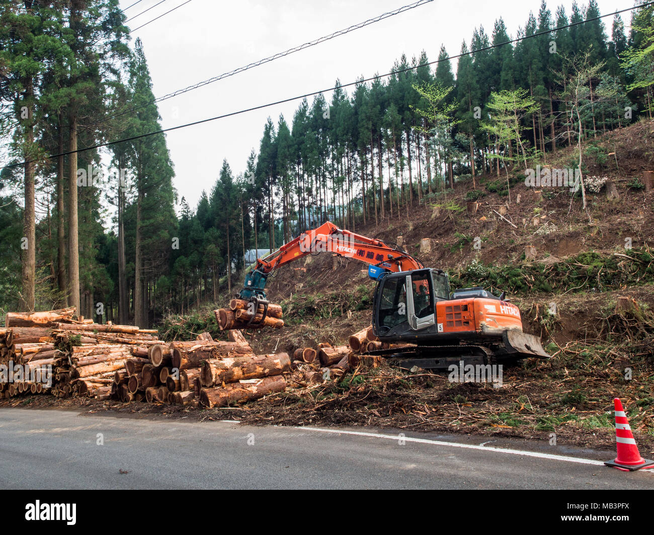 Apilamiento de excavadora Hitachi Cryptomeria japonica, cedro japonés, sugi registros por carretera, Kobaru, Oita, Kyushu, Japón. La silvicultura la producción de madera. Foto de stock