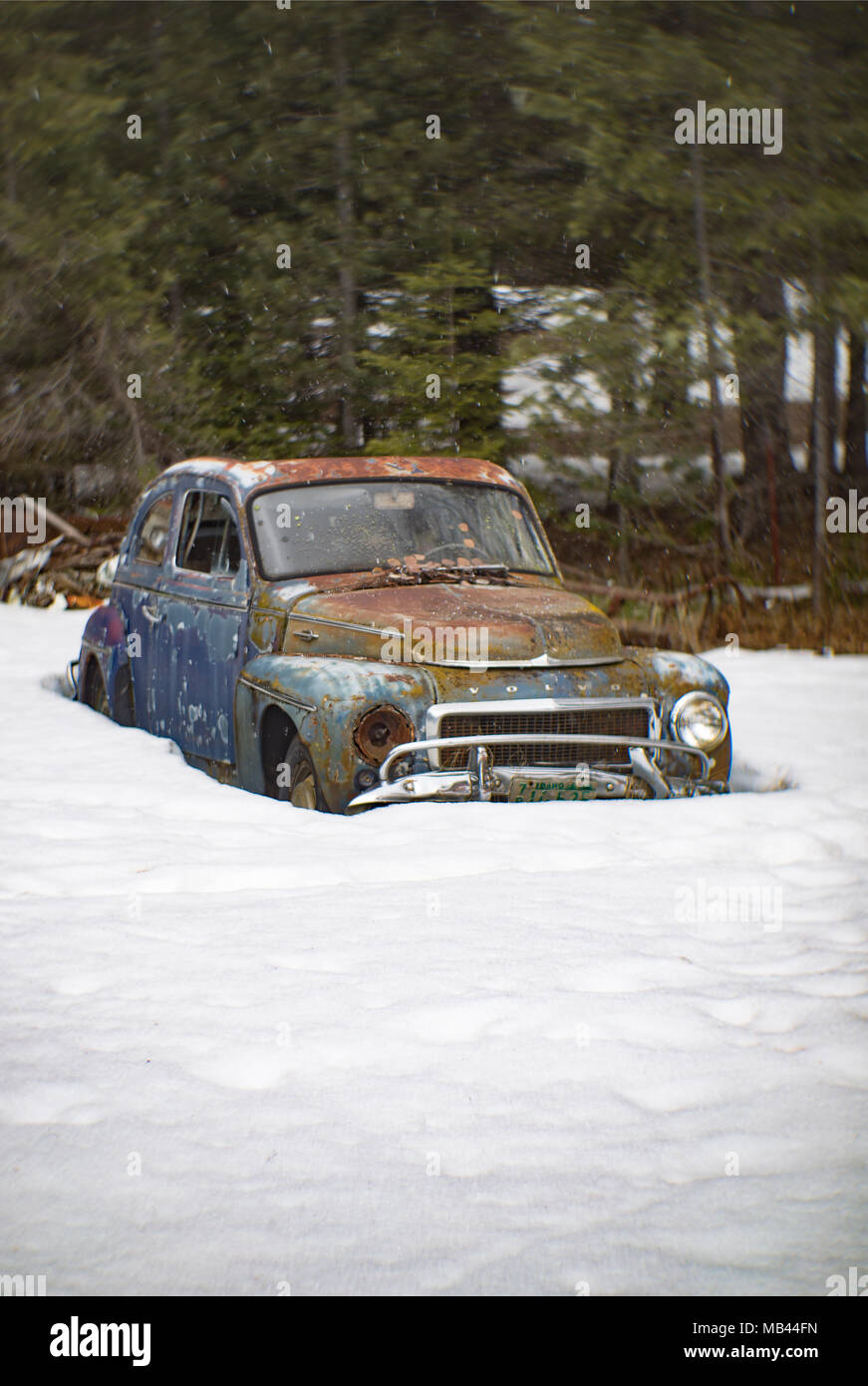 1960 Volvo PV 544 coupé, enterrado en la nieve, en una zona boscosa, en Noxon, Montana. Esta imagen fue tomada con una lente Petzval antigua y mostrará sig Foto de stock