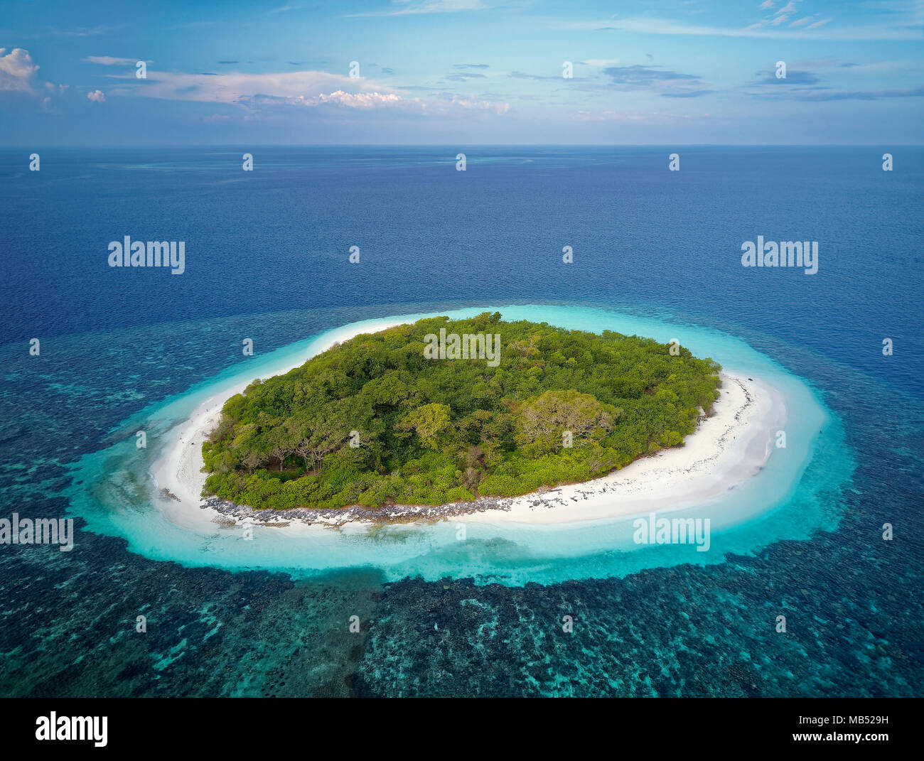 Deshabitada isla verde con arbustos, playa todo alrededor, arrecifes de coral mar adentro, Ari ATOLL, Maldivas, Océano Índico Foto de stock