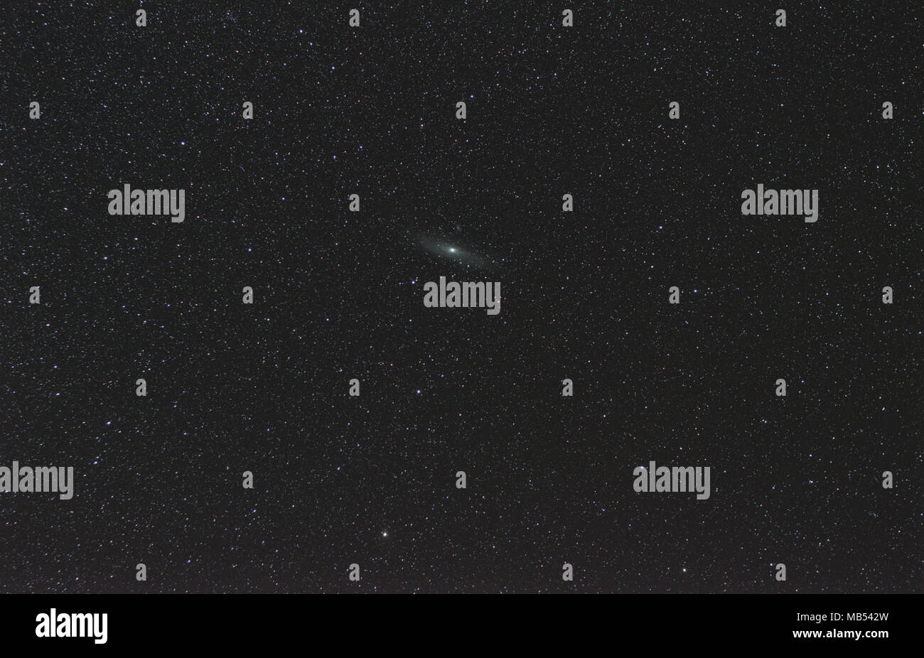 Constelación de Andrómeda con su célebre Galaxy en el cielo de la noche Foto de stock
