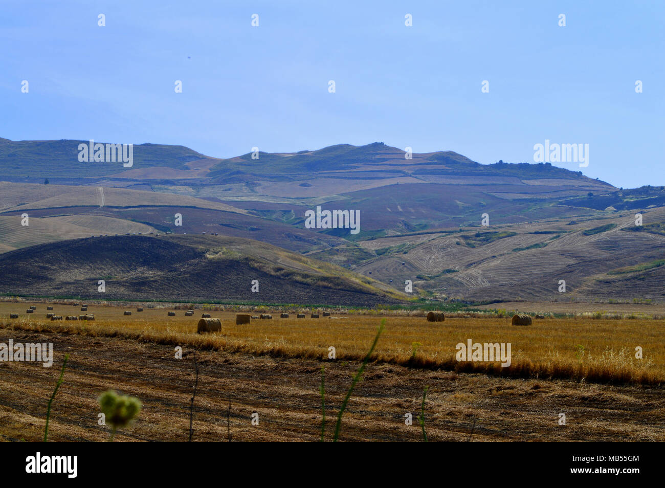 Paisaje siciliano después de la cosecha con los fardos de heno, Antecedentes, Italia Foto de stock