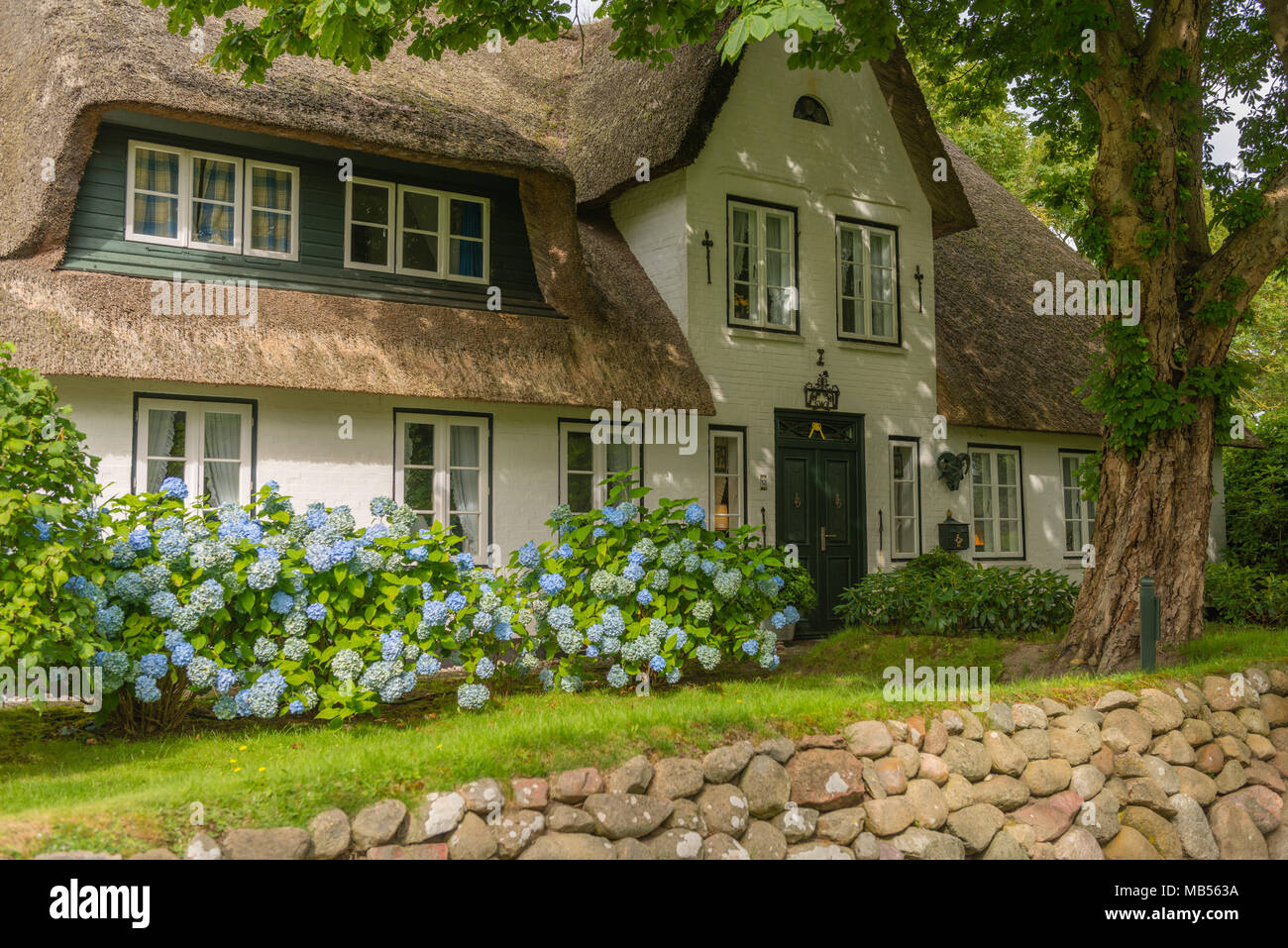 Frisón tradicional casa con techo de paja, Keitum, Del Mar del Norte isla de Sylt, Schleswig-Holstein, Alemania, Europa del Norte Foto de stock