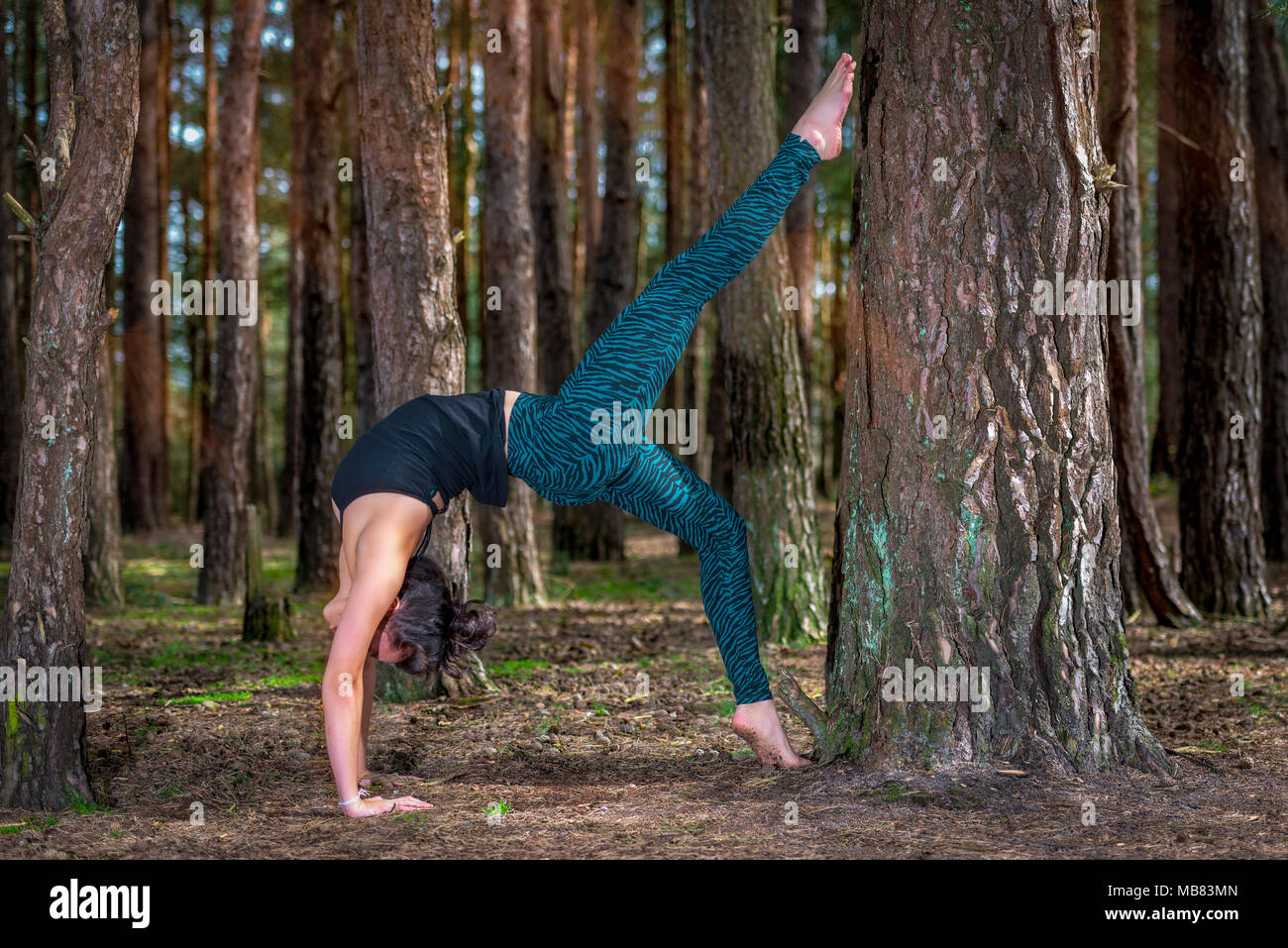 Mujer practicando yoga fuera en el bosque, haciendo una pose de rueda. Foto de stock