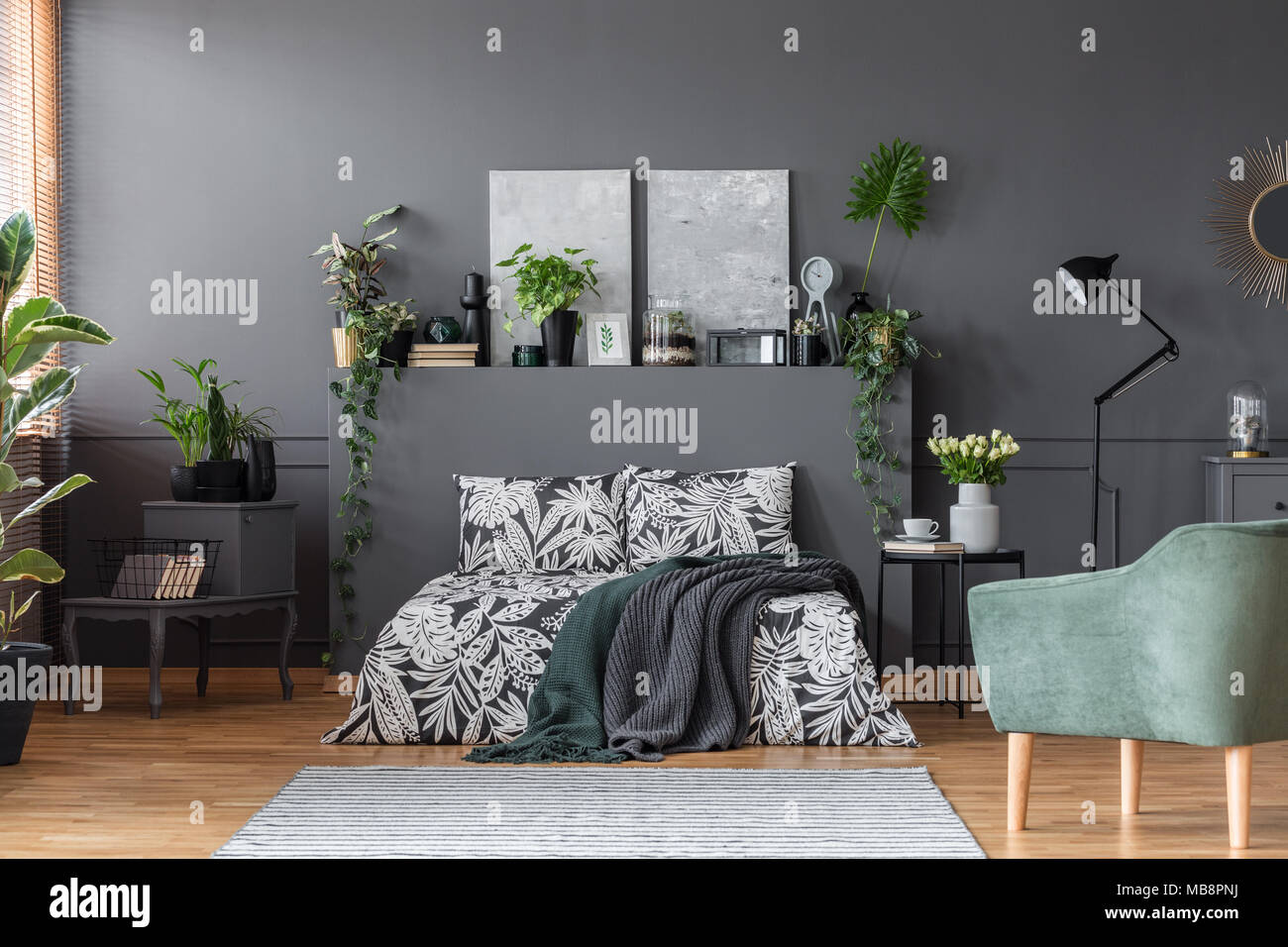 Moderna estantería blanca con colección de libros en la pared en habitación  elegante y luminosa con planta verde y cortina de colores en el apartamento  Fotografía de stock - Alamy