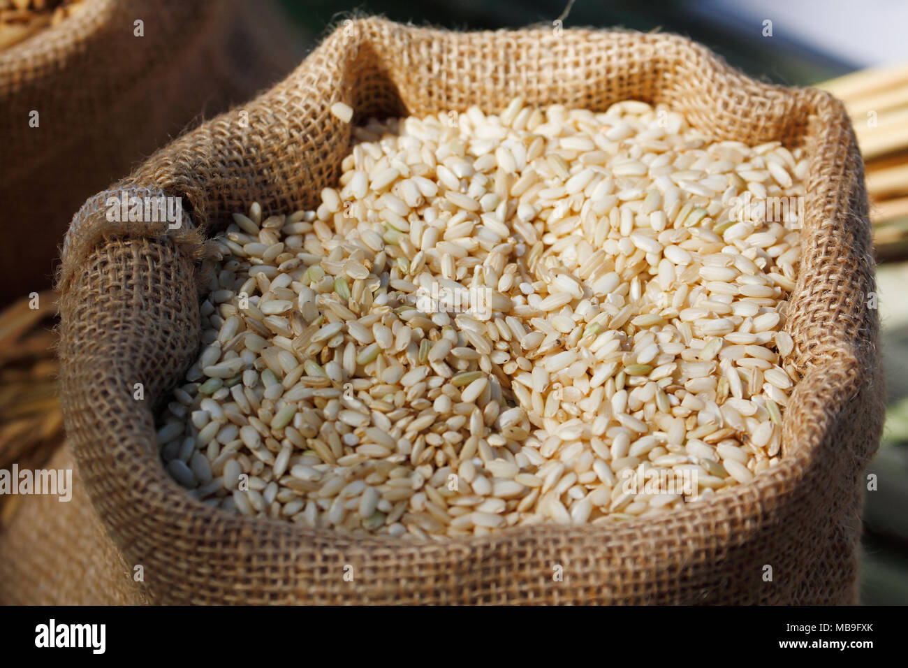 El arroz descascarillado (arroz) en saco de cáñamo Foto de stock