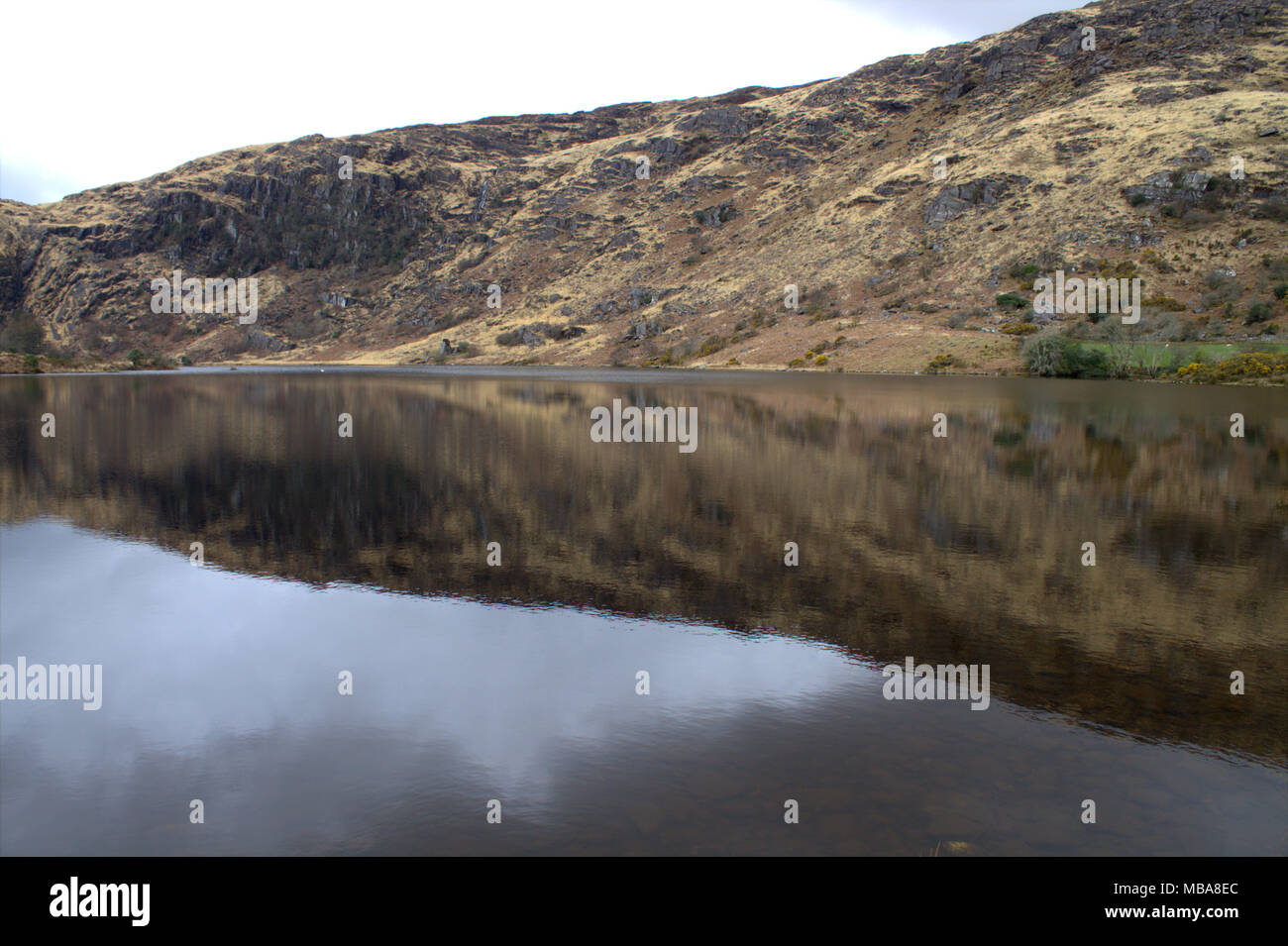 Las colinas que rodean el lago de Gougane Barra, Irlanda se refleja en las todavía oscuras aguas del lago. Un popular destino turístico y de vacaciones. Foto de stock