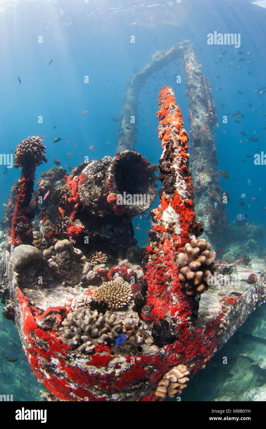 Sitio de Buceo en astillero Lhaviyani Atoll Foto de stock