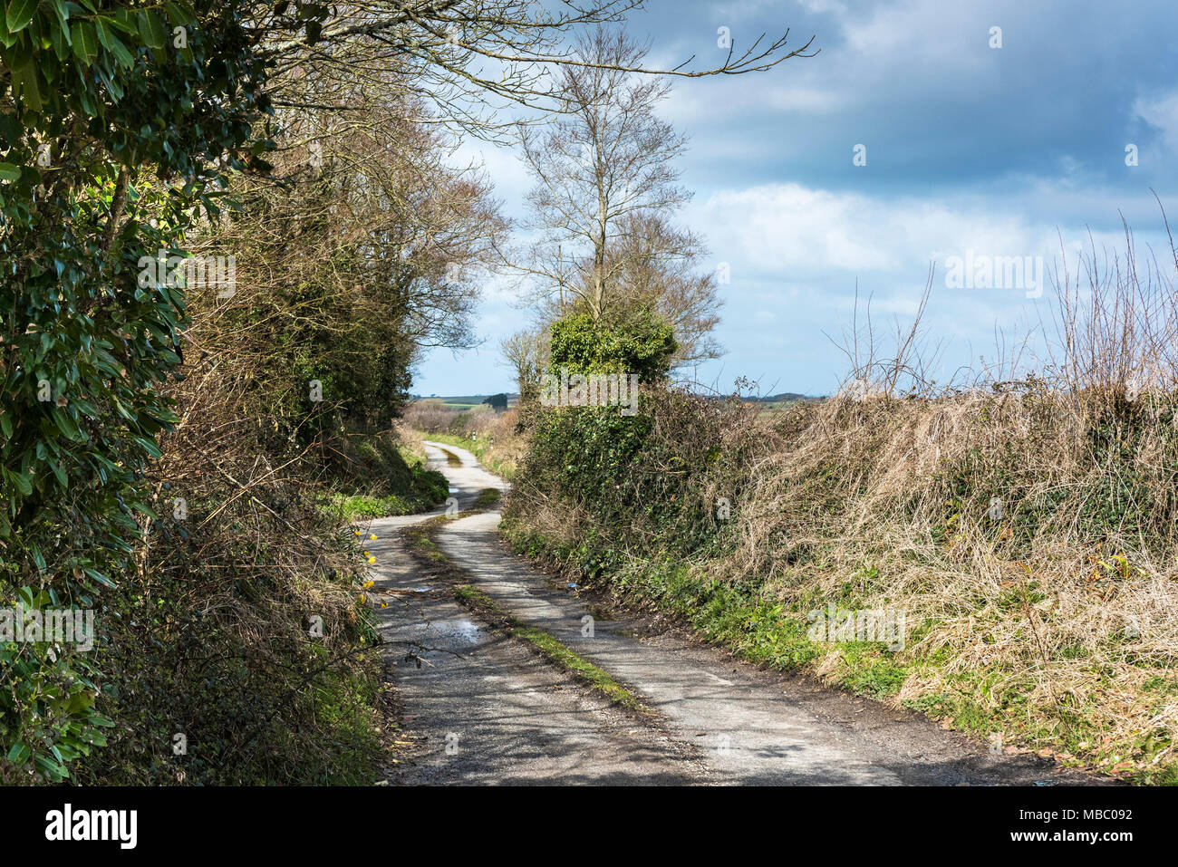 Un país tranquilo carril en Newquay, Cornwall. Foto de stock