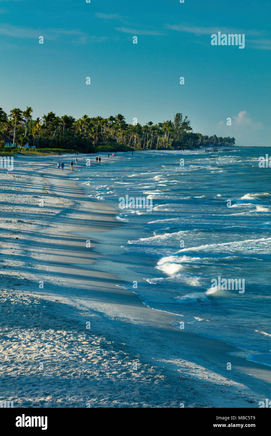 Caminata por la mañana en la playa de la costa del golfo de Florida, cerca del muelle de Nápoles, Naples, Florida, EE.UU. Foto de stock
