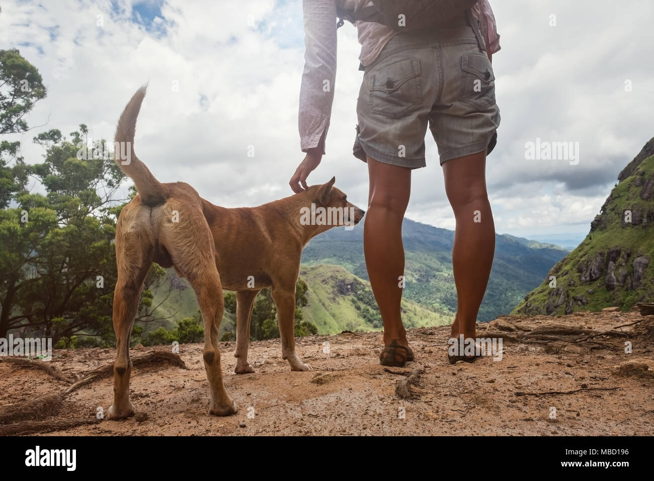 Mujer caucásica de pie con perro y mirando a la vista de la montaña. Foto de stock