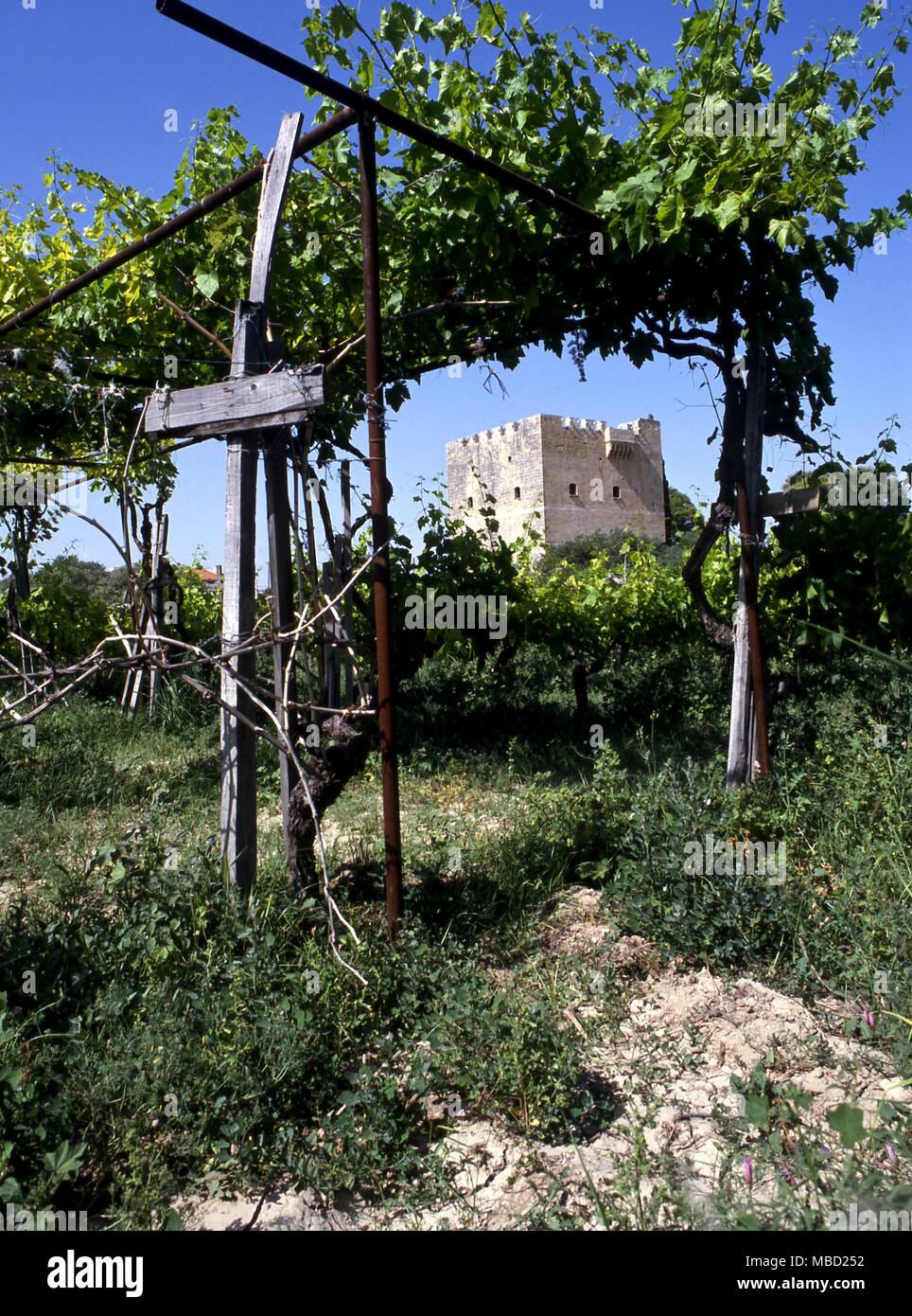 Castillo de los templarios en Chipre, la commanderia En coloso. Uno de los mejor conservados de los castillos templarios. Foto de stock