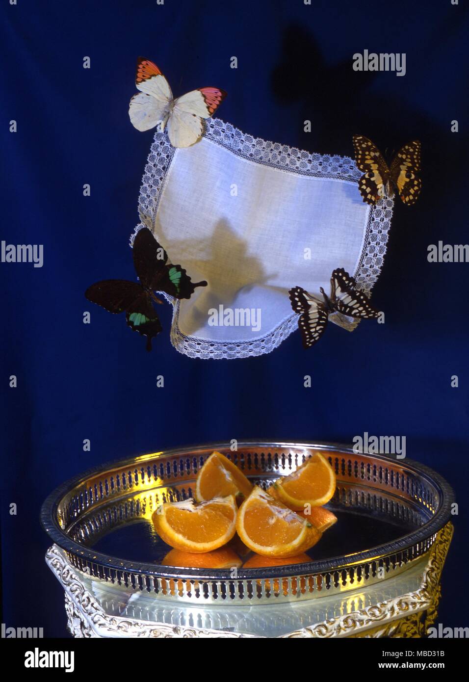 Magia en el escenario - la ilusión. El mago corta una naranja y de volar cuatro mariposas llevar un pañuelo. Ellos vuelan en la oscuridad encima del escenario y desaparecer. Foto de stock