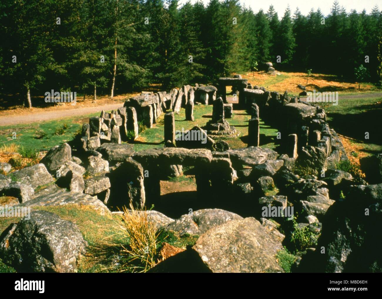 Templo druida, Masham, North Yorkshire Foto de stock