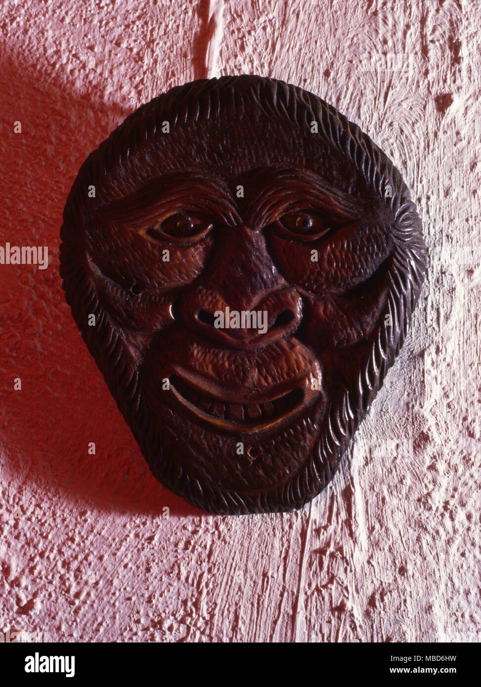 Cara fask demoníaca de madera usadas en rituales wiccan hasta mediados del siglo XX. Foto de stock