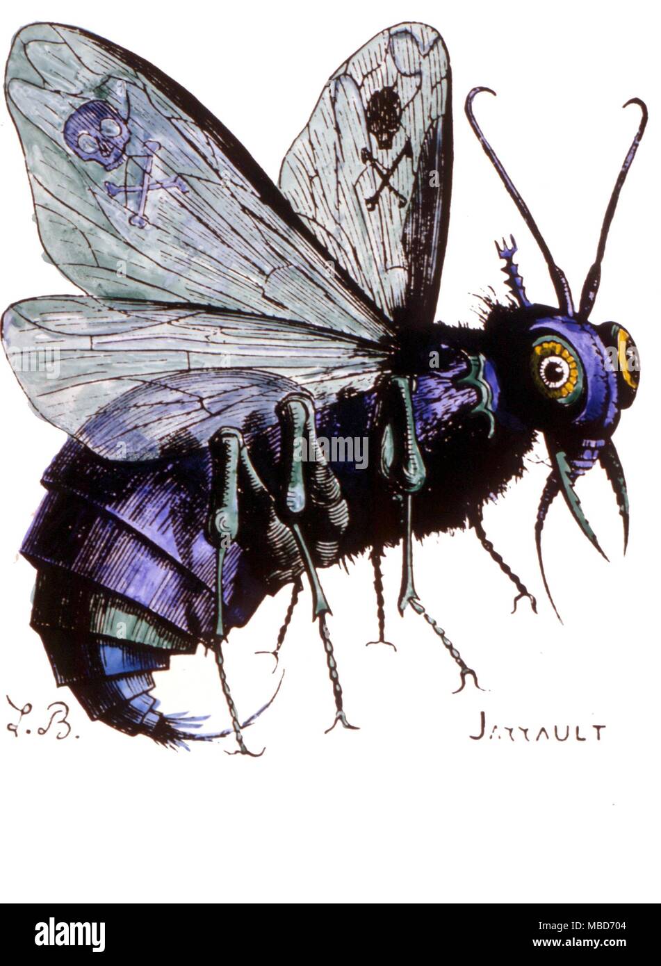 El señor de las moscas Imágenes recortadas de stock - Alamy