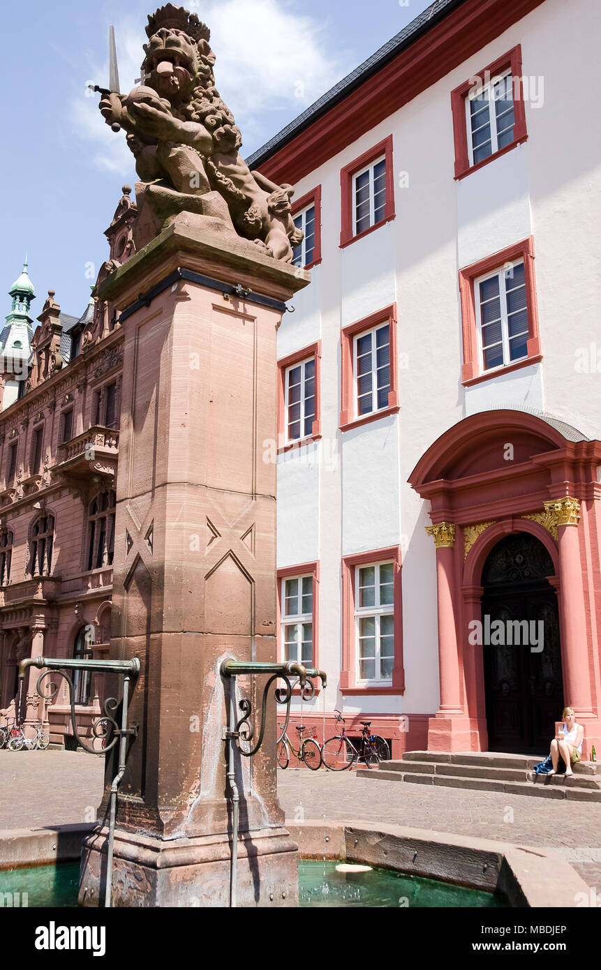 Universität Heidelberg, Baden-Württemberg, Alemania, Europa Foto de stock