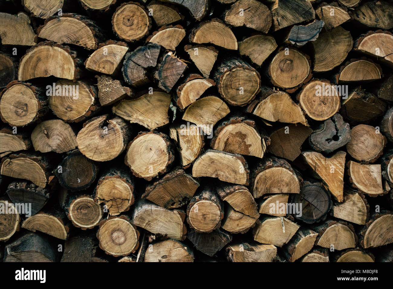 Leña en woodpile Foto de stock