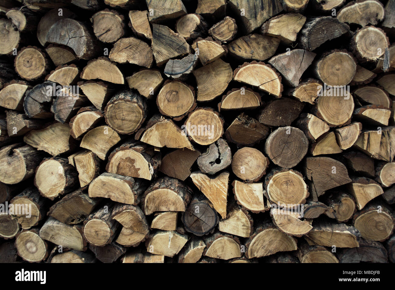 Leña en woodpile Foto de stock