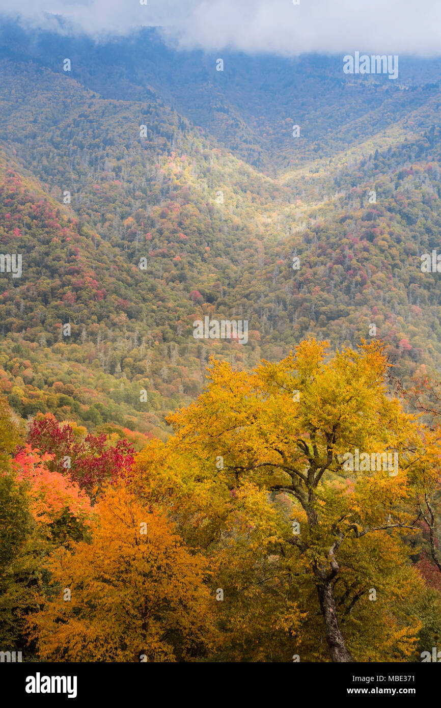Carolina del Norte, Estados Unidos de América. Paisaje de otoño en el Parque Nacional Great Smoky Mountains National Park. Sitio de Patrimonio Mundial de la UNESCO. Foto de stock