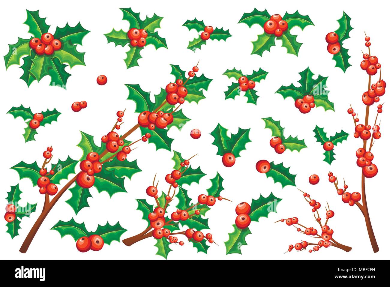 Coleccion De Navidad El Muerdago Ramas De Muerdago Con Hojas Verdes Y Sin Diseno De Estilo De Dibujos Animados Ilustracion Vectorial Aislado En Blanco Ba Imagen Vector De Stock Alamy