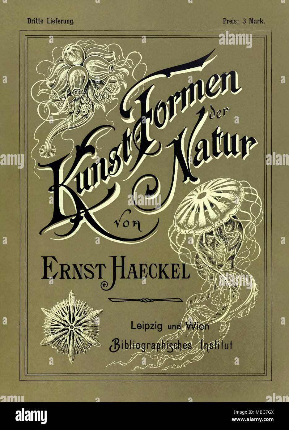 "Kunstformen der Natur" (formas de arte en la naturaleza) Portada de tercera edición ilustrada por Ernst Haeckel (1834-1919), litografía por Adolf Giltsch (1852-1911) y publicado por Bibliographisches Institut entre 1899 y 1904. Ver más información a continuación. Foto de stock