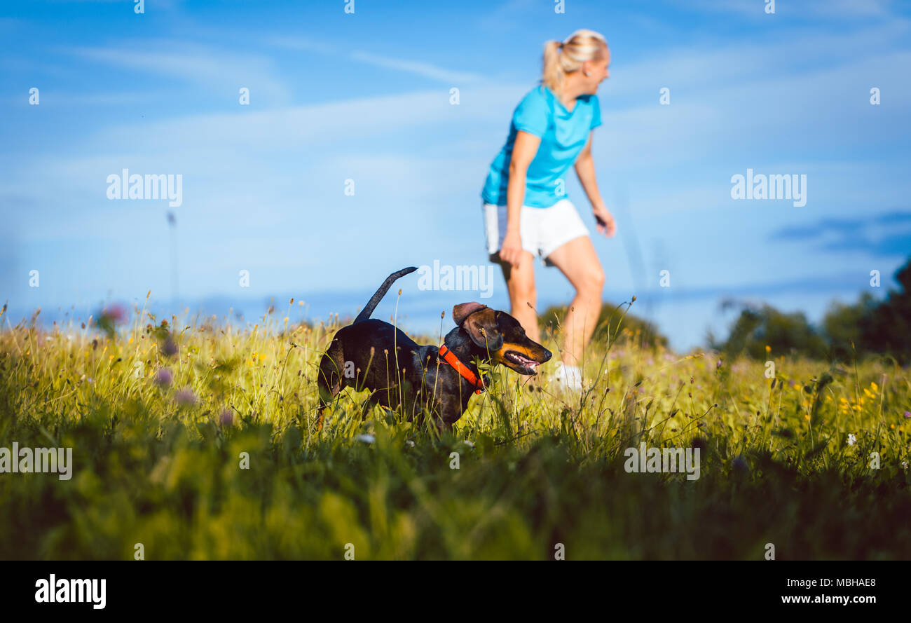 Mujer caminar a su perro en una pradera Foto de stock