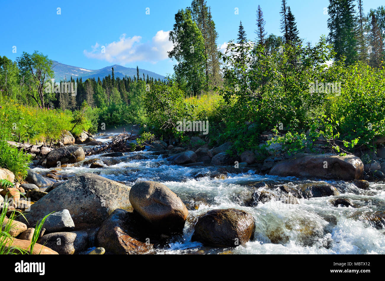 Río rápido con agua pura fría entre piedras y densos bosques - paisaje de verano en Kuznetsk montañas Alatau, en el oeste de Siberia, Rusia. Foto de stock