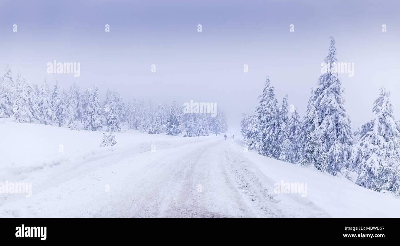 Un paisaje de invierno en el Brocken cerca de Schierke Foto de stock