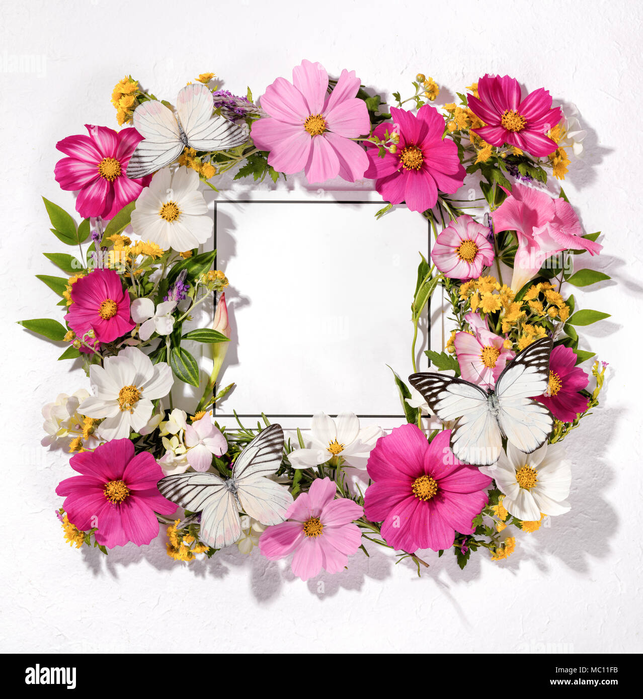 Bastidor de galsang flor con tarjeta en blanco Foto de stock